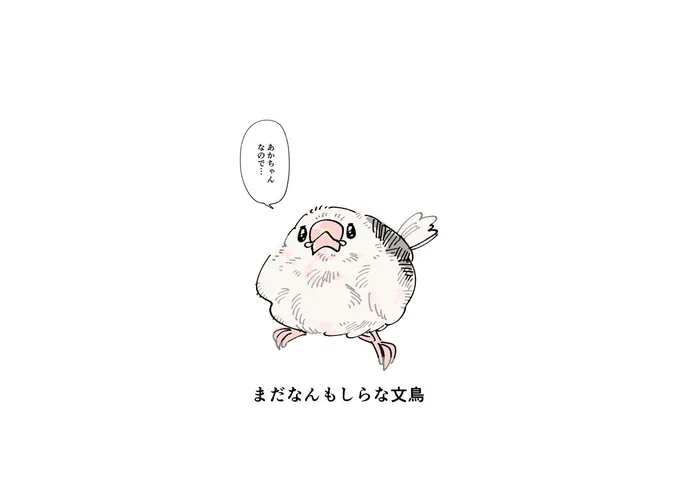 何をしても許される 