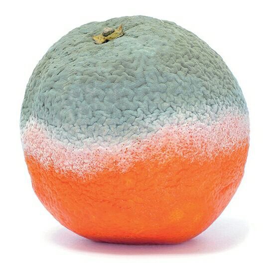 Ariah - estraguei tudo! tweet media