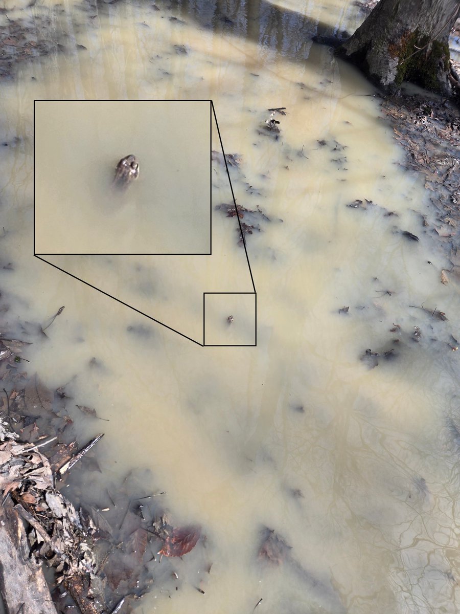 The World's Largest Ball of Stamps (@biggestboybenny) on Twitter photo 