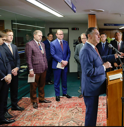 Ouriço de cartola tweet media