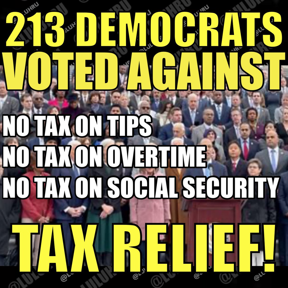 luluHru's tweet image. Democrats voted against tax breaks for lower income Americans, including senior citizens!