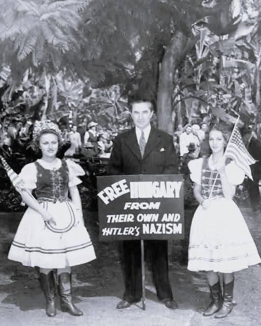 Hollywood Horror Museum tweet media