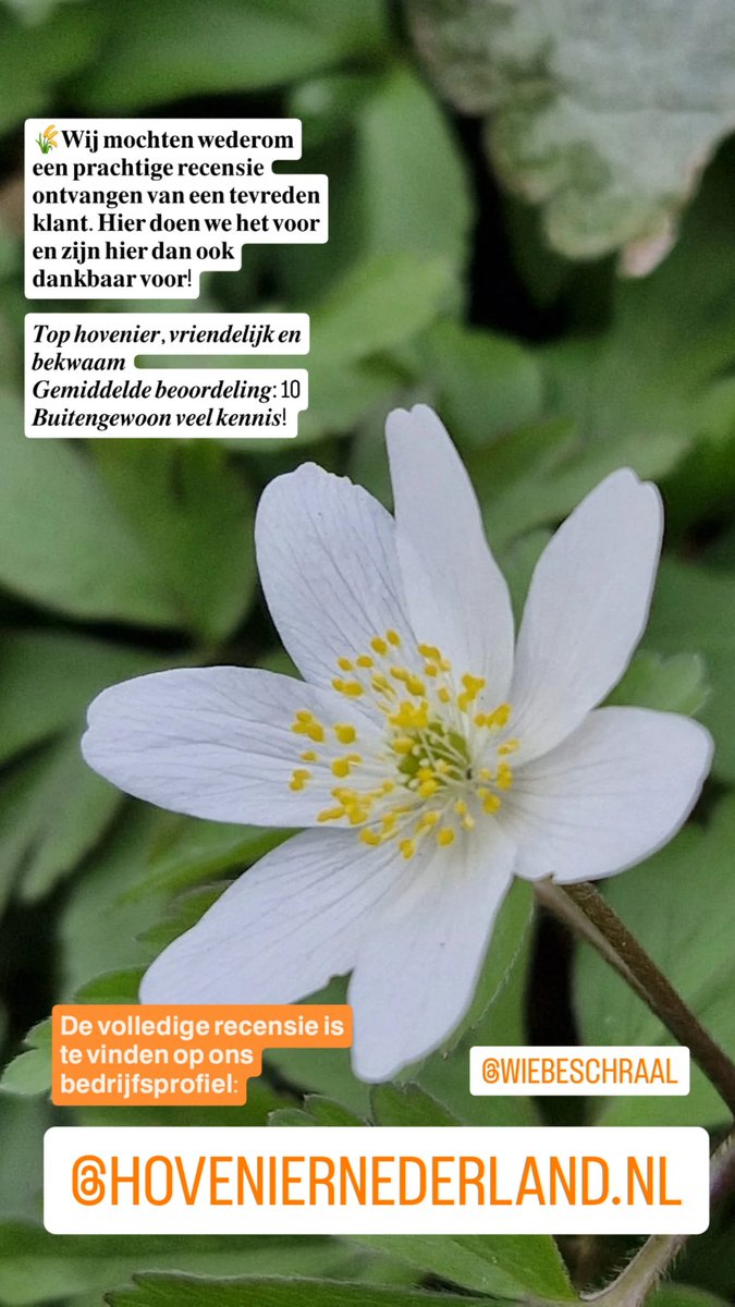 Wiebe Schraal (@uwhovenier1) on Twitter photo 