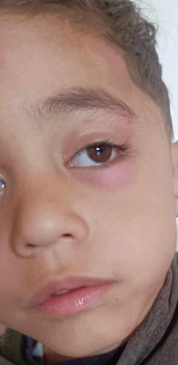 kahlout mahmoud tweet media