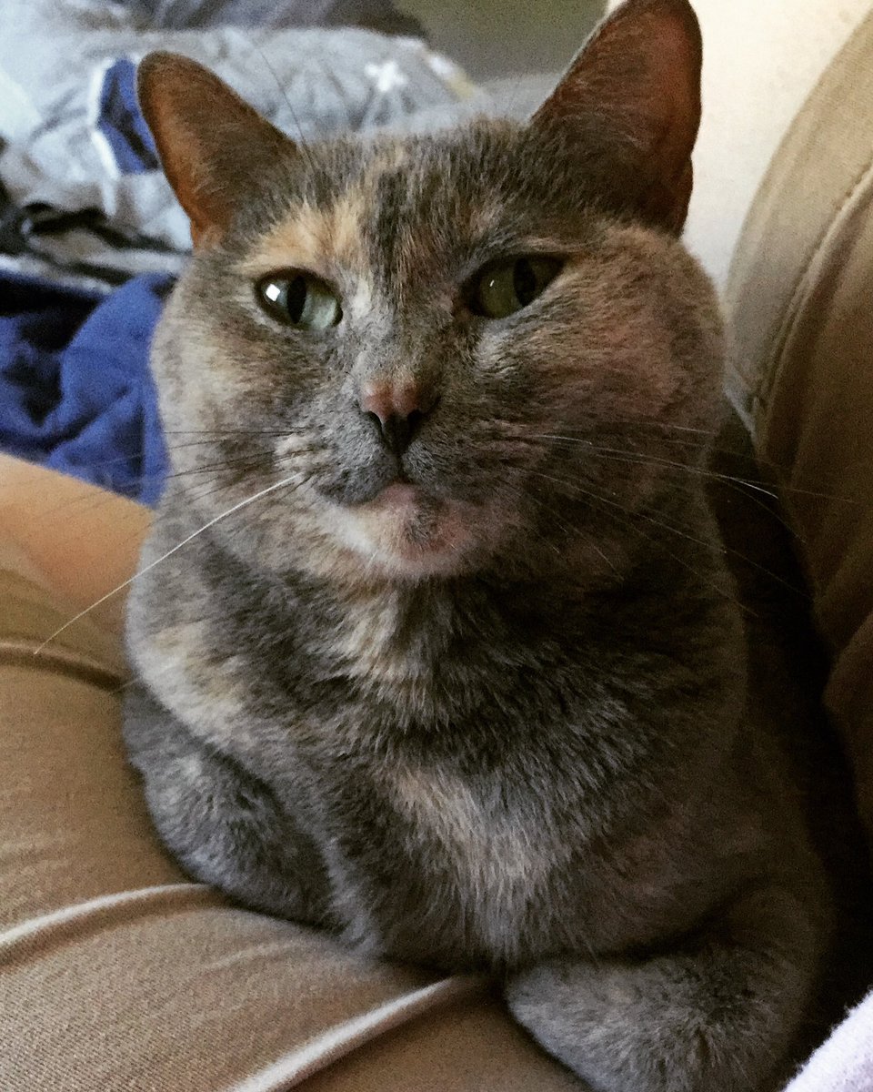 perhap s  today . i will beh ave . or perhaps no t.