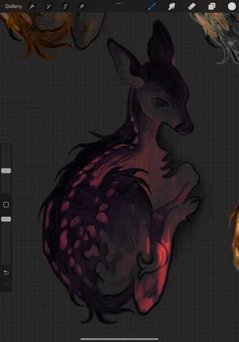deer  variety… 