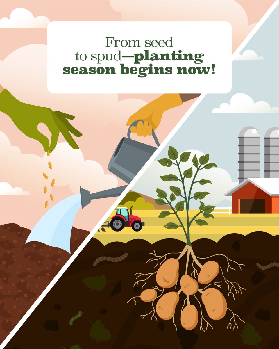 It’s officially planting season in Idaho! 🌱🥔   Idaho’s farmers are hard at work planting the next delicious batch of Idaho® potatoes. Here’s to another season of growing greatness! #IdahoPotatoes #PlantingSeason