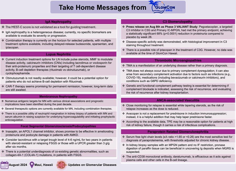 Updates on Glomerular Diseases