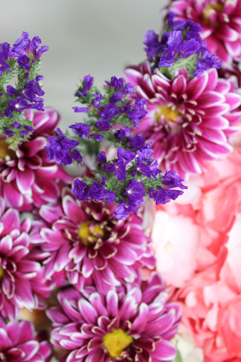 Desde la floristería Leurs fleurs: díselo con flores #Leursfleurs #floristerías #floristeríasMadrid #flores adoronews.com/2025/04/desde-…