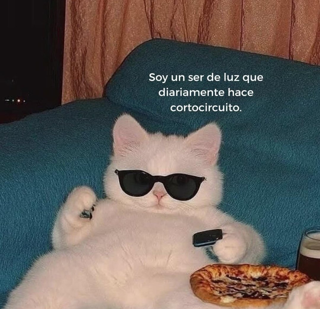 Frases Barbie (@barbie_context) on Twitter photo 