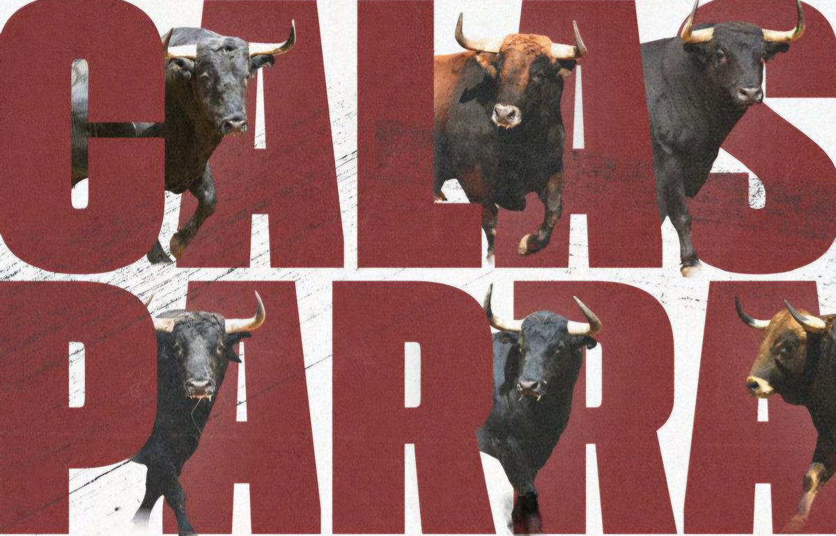 Ganaderías de lujo para la feria, una “Espiga de Plata” 100% murciana y un festejo en octubre, principales atractivos de la temporada en Calasparra
🔸El municipio sigue afianzándose como el que más apuesta por los toros en la Región de Murcia
➕info👇
elmuletazo.com/2025/04/03/gan…