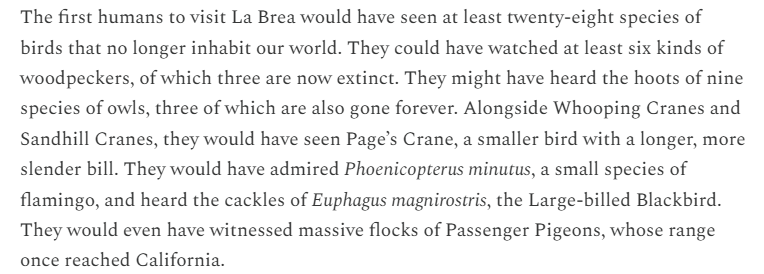 Robert Francis tweet media