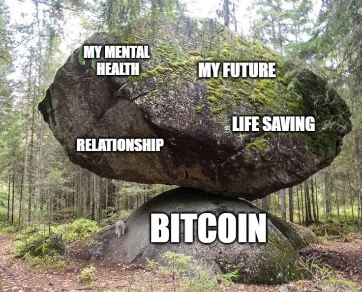 CLOLcoin's tweet photo. https://t.co/GRsbgpQJmX