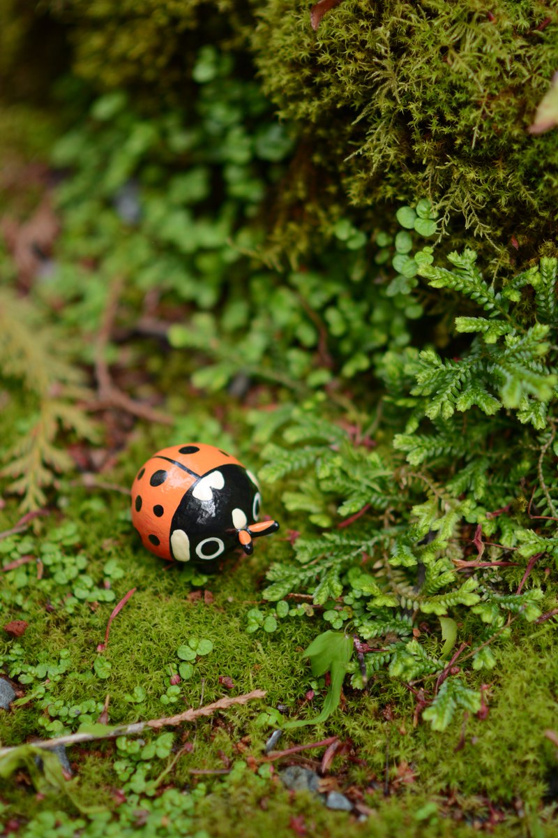 czbugsart's tweet photo. Little fella enjoying the spring! They look so good in their natural habitat! 💚 https://t.co/WsNnGLkl4O