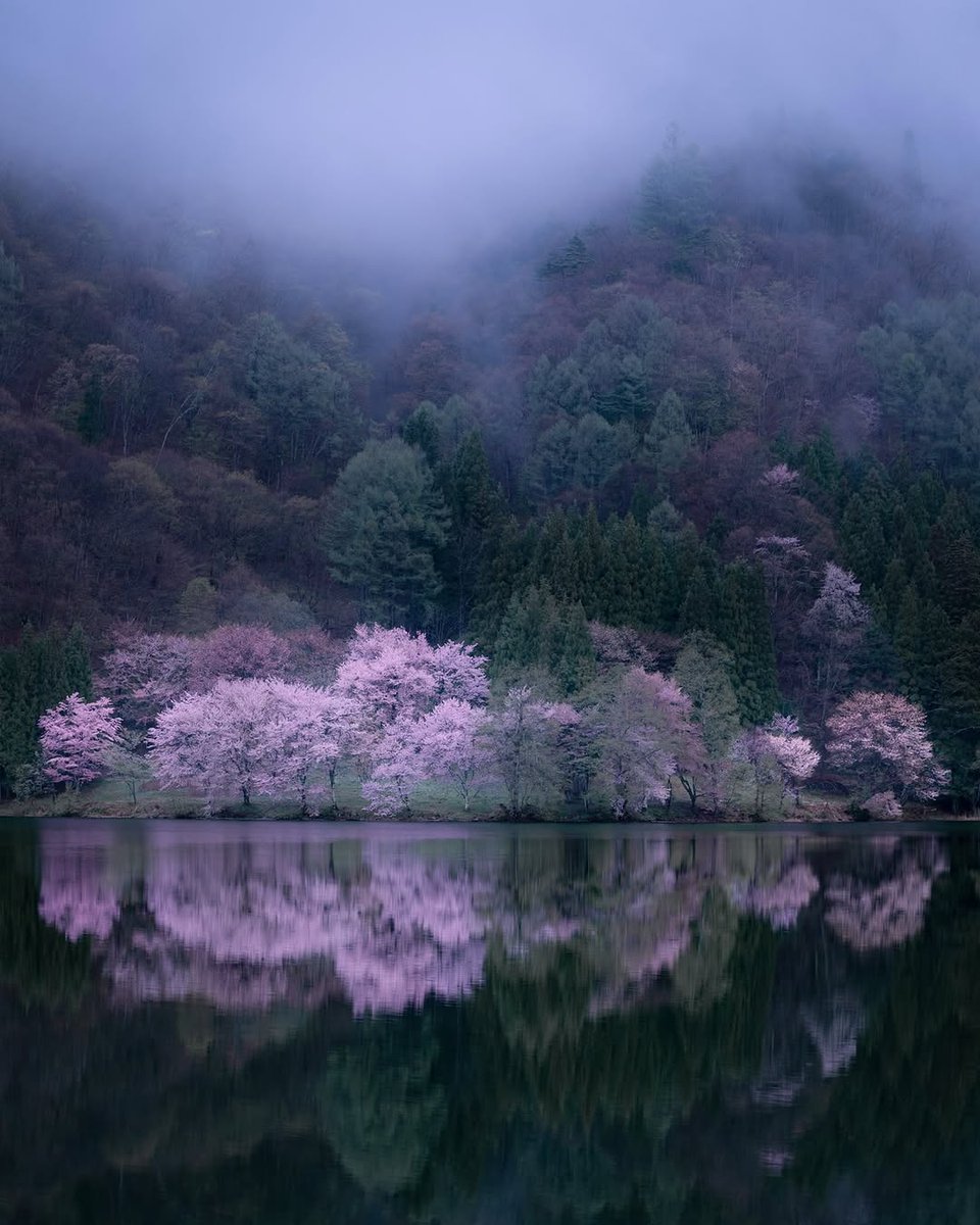 𝘢𝘦𝘴𝘵𝘩𝘦𝘵𝘪𝘤 𝘷𝘪𝘴𝘶𝘢𝘭𝘴 •°. *࿐ (@aestheticwabi) on Twitter photo 