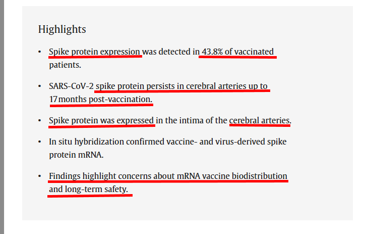 VaccineMole's tweet photo. 🚨🔥URGENT! Japanese Scientists published new study(3 April 2025), showing new evidence of COV-19 mRNA vaccine spike protein persisting in cerebral arteries of 43.8% of haemorrhagic stroke patients up to 17 months post-vaccination with absence of infection, express concerns about vaccine biodistribution/long-term safety:

"Expression of SARS-CoV-2 spike protein in cerebral Arteries: Implications for haemorrhagic stroke post-mRNA vaccination"

"Spike protein expression was detected in 43.8% of vaccinated patients."

"SARS-CoV-2 spike protein persists in cerebral arteries up to 17 months post-vaccination"

"Spike protein was expressed in the intima of the cerebral arteries"

"In situ hybridization confirmed vaccine- and virus-derived spike protein mRNA."

"Findings highlight concerns about mRNA vaccine biodistribution and long-term safety."

"Notably, spike protein positivity was observed exclusively in female patients"

"None of the cases showed nucleocapsid protein positivity, supporting the absence of active viral infection."

"These findings raise significant concerns regarding the biodistribution of lipid nanoparticle-based vaccines and their long-term safety"

"Global replication studies are urgently required to validate these findings and ensure comprehensive safety evaluations of mRNA vaccines."

Source:
https://t.co/BvRiq4CPrY