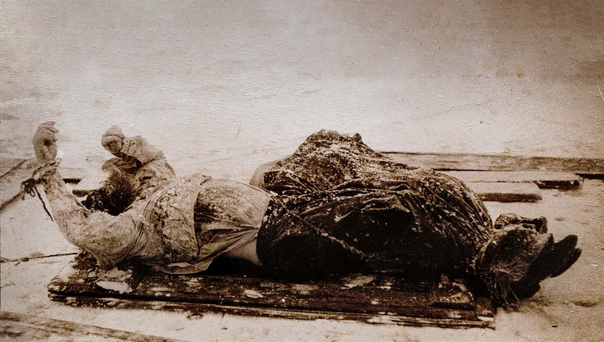 LivingWomanizer tweet media