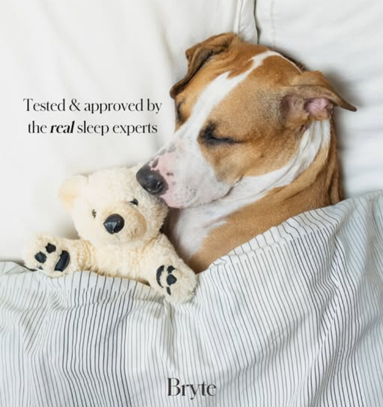 SleepBryte's tweet photo. You heard it here first — Bryte smart beds are endorsed by four-legged sleep experts everywhere. https://t.co/bLdHxAX9wf