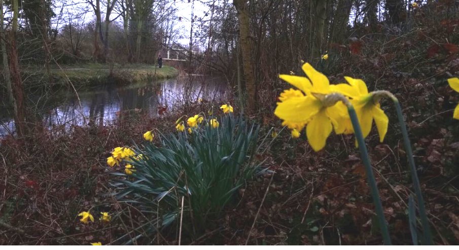 PickerelProject's tweet image. April 2025 Clean-Up is coming. We hope you can join us on Sunday to help keep our riverside (and river) spick and span. Meet by the river at the Navigation Approach bridge at 10am Sunday 6th.