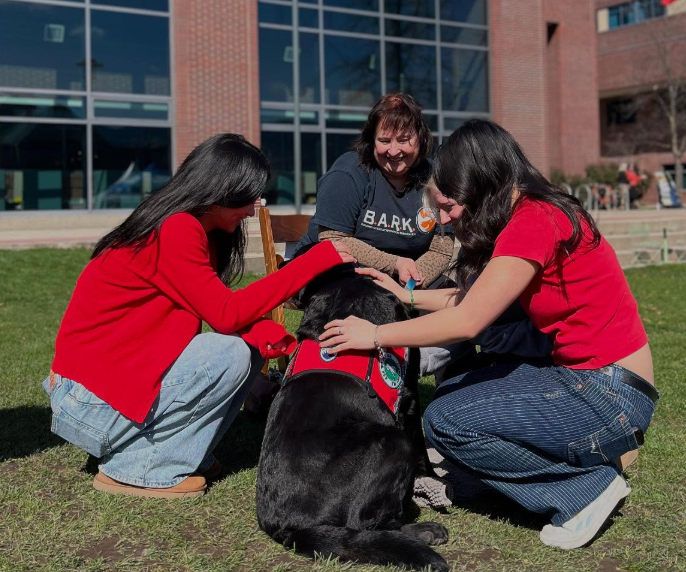 Take a paws🐕 in the courtyard today to say hi to the <a href="/BARKUBC/">BARK UBC</a> team!

Can't make it to #UBCO campus today? See how you can get involved online: givingday.ubc.ca