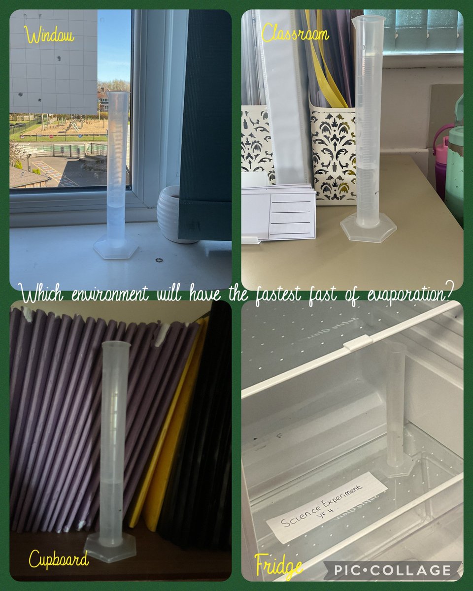 Miss Berry tweet media