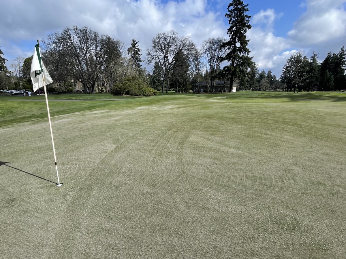Post 24 hours after punching greens. Mother Nature didn’t cooperated but regardless we’re getting the core holes filled and like how it’s going.