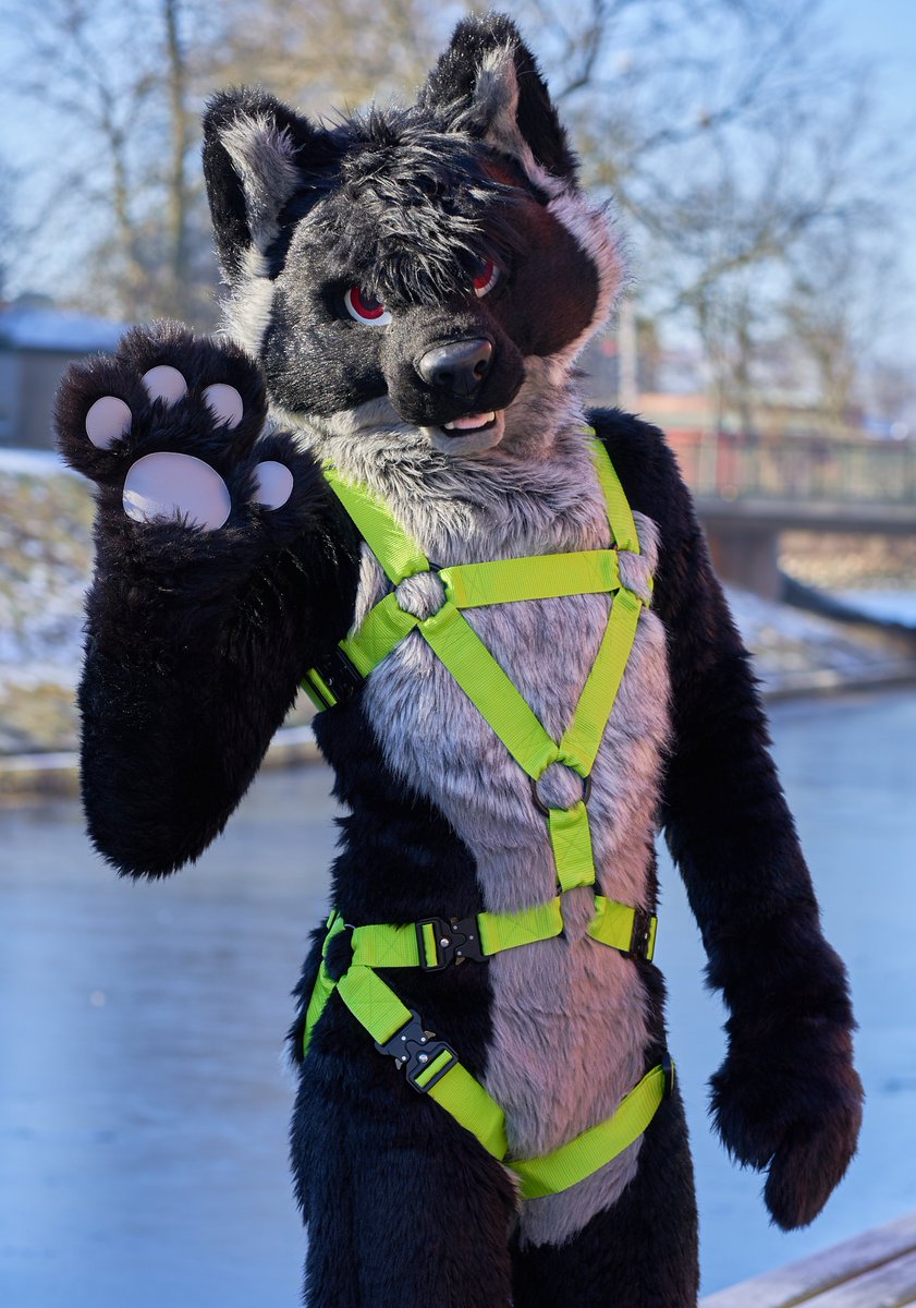 ⭐️ NEW⭐️

New harness design! Really like how this one turned out 😁

What do you think?