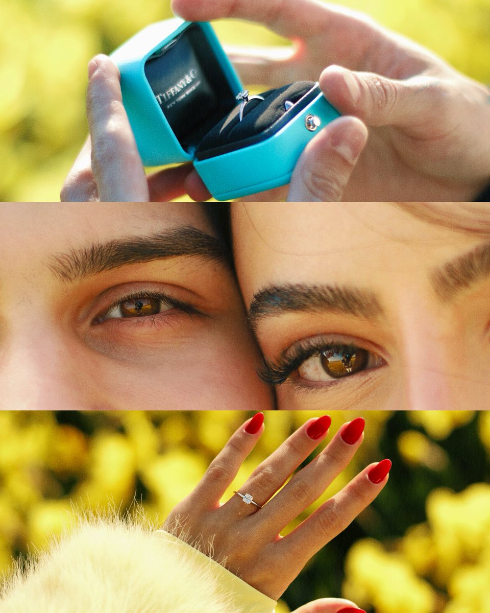 jpmota's tweet image. ela disse sim!!!