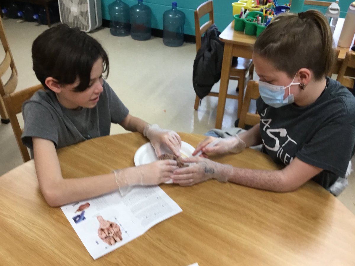 212 Academy (@212_academy) on Twitter photo <a href="/RichPondElement/">Rich Pond Elementary</a>, <a href="/Jennings_Creek/">Jennings Creek Elem</a>,<a href="/bristowelem/">Bristow Elementary</a> saw their learning come to life through the dissection of sheep’s brain. <a href="/RichPondElement/">Rich Pond Elementary</a>, <a href="/Jennings_Creek/">Jennings Creek Elem</a>,<a href="/bristowelem/">Bristow Elementary</a> saw their learning come to life through the dissection of sheep’s brain.