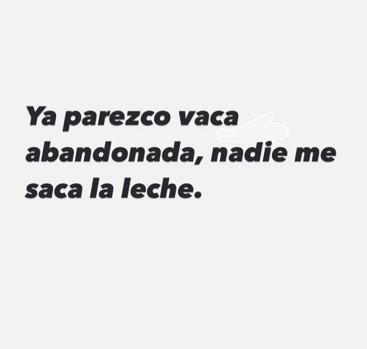 Jesús tweet media