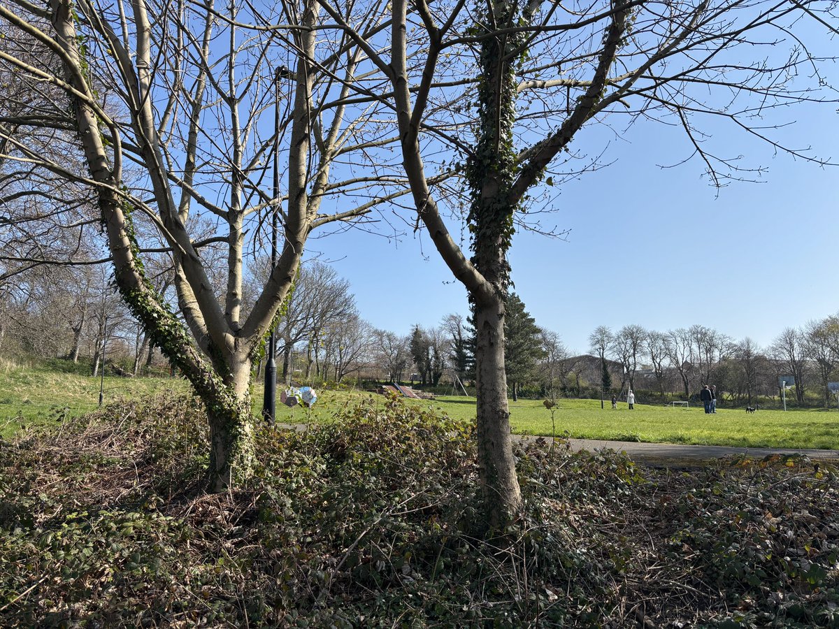 Cllr Nick Hartley - Green Party tweet media