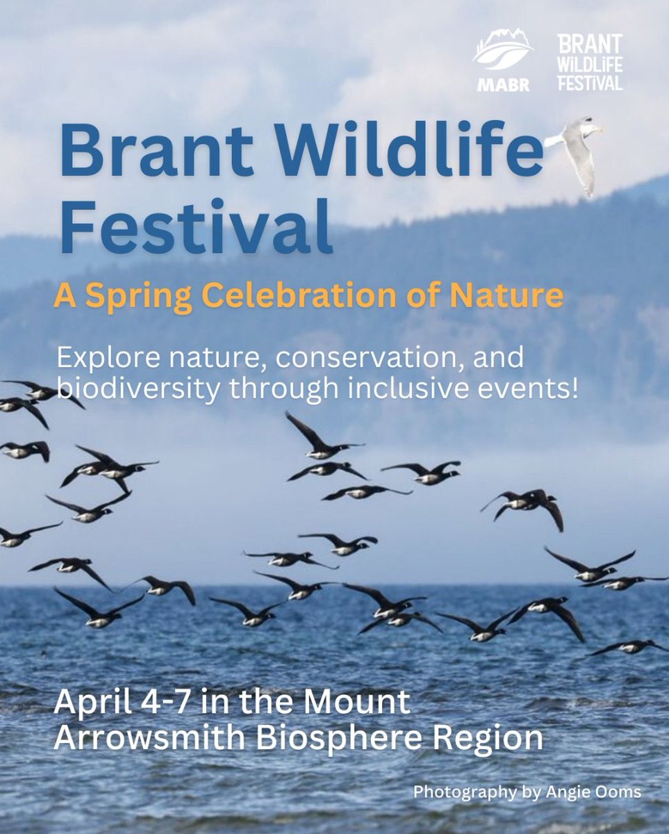 🤩 The #BrantWildlifeFestival starts tomorrow!
🪶🌿🌊 The festival brings people together in #ParksvilleQualicumBeach to celebrate nature and the return of Brant geese. 
📆 Check out the calendar of events: brantfestival.bc.ca/event-calendar/
*Image courtesy Brant Wildlife Festival.
-
#MyPQB