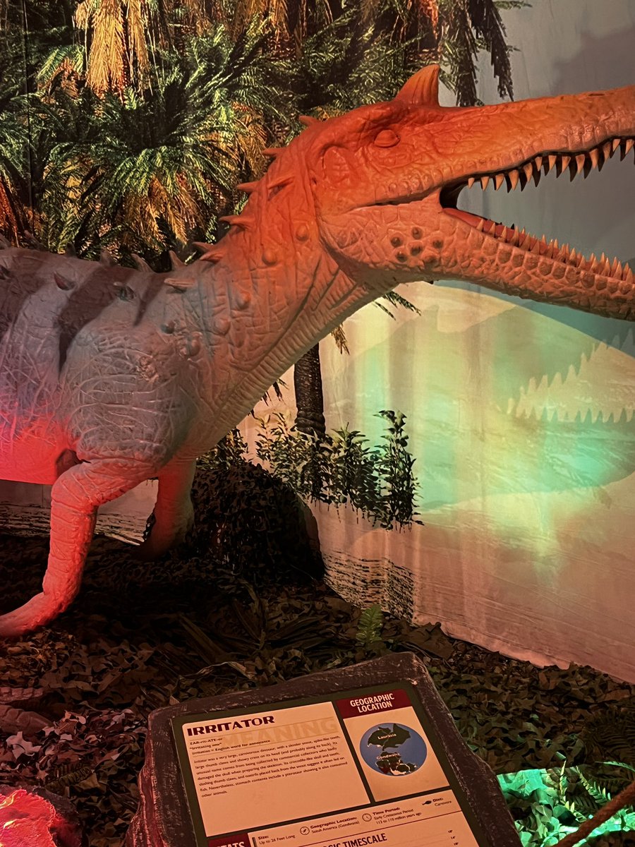 Kathryn Brandt tweet media