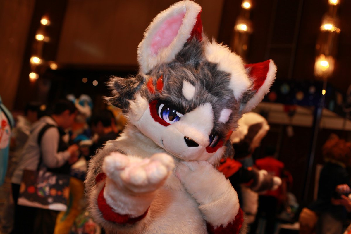 #Fursuitfriday 
这份爱是给你的呦～