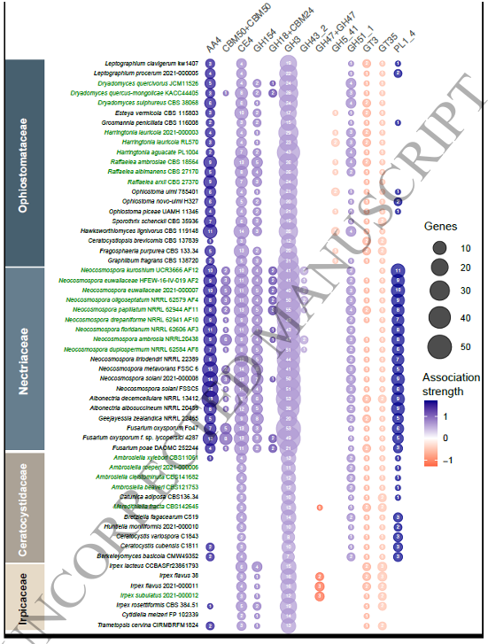 "changes are lineage-specific, not convergent"
CAZyme Expansions:  "AA4 in Nectriaceae, CE4 in Ophiostomataceae, and GH3 in Ophiostomataceae and Ceratocystidaceae"
Genome diversification of symbiotic fungi in beetle-fungus mutualistic symbioses academic.oup.com/ismej/article/…