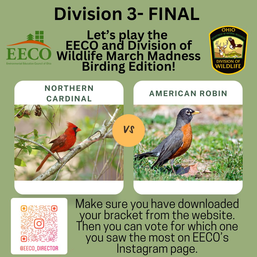 directorEECO's tweet image. We made it to the FINALS! 😳
Who will be the champion? 🏆
Play along and let us know which bird you saw more by voting on our Instagrampage!
To learn about our March Madness Bird Brackets, go to: eeco.wildapricot.org/page-1786411

#getoutside #marchmadnessbirdbracket #BirdingFun