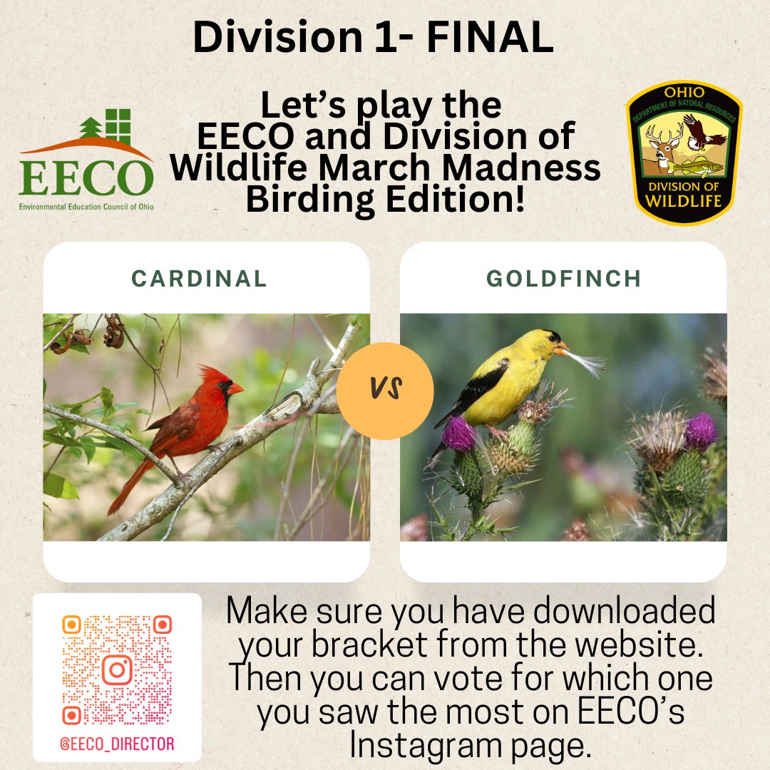 directorEECO's tweet image. We made it to the FINALS! 😳
Who will be the champion? 🏆
Play along and let us know which bird you saw more by voting on our Instagrampage!
To learn about our March Madness Bird Brackets, go to: eeco.wildapricot.org/page-1786411

#getoutside #marchmadnessbirdbracket #BirdingFun