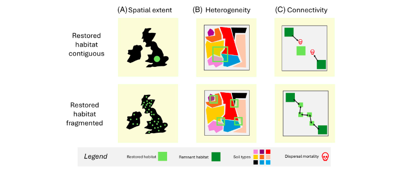 Carlos Eduardo de Carvalho (@eduardocarv4) on Twitter photo This figure is very didactic and also easy to understand. DOI: 10.1111/rec.14385 <a href="/riva_ecology/">Federico Riva</a> This figure is very didactic and also easy to understand. DOI: 10.1111/rec.14385 <a href="/riva_ecology/">Federico Riva</a>