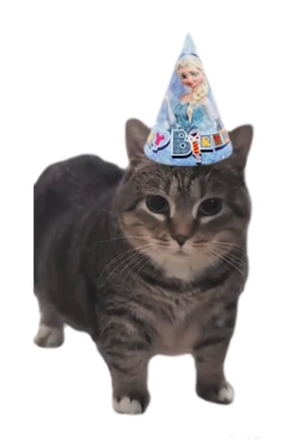 𝘒𝘊𝘉𝘚 𝘝𝘪𝘤𝘰 🪐 tweet media