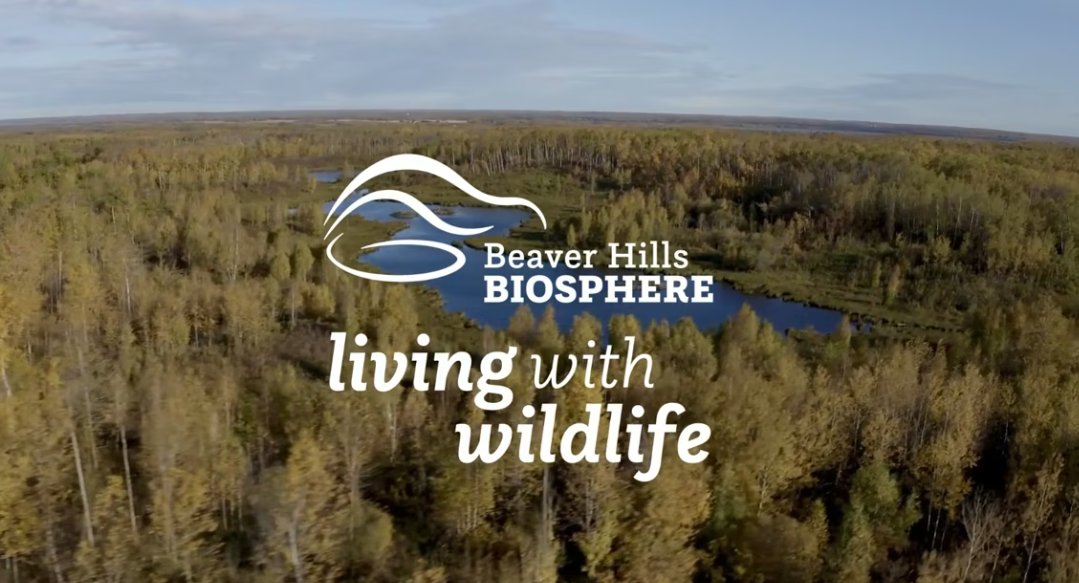 We’re excited to launch our #LivingWithWildlife Initiative! 🐾Join us this spring in taking simple actions to foster peaceful coexistence &amp; preserve habitats. 🫎

Check out our video: 🎥vimeo.com/1062798912?sha…
Learn more at:
beaverhills.ca/get-involved/l…
