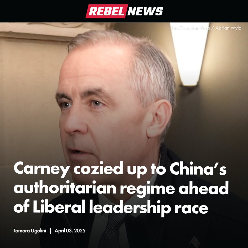Rebel News tweet media