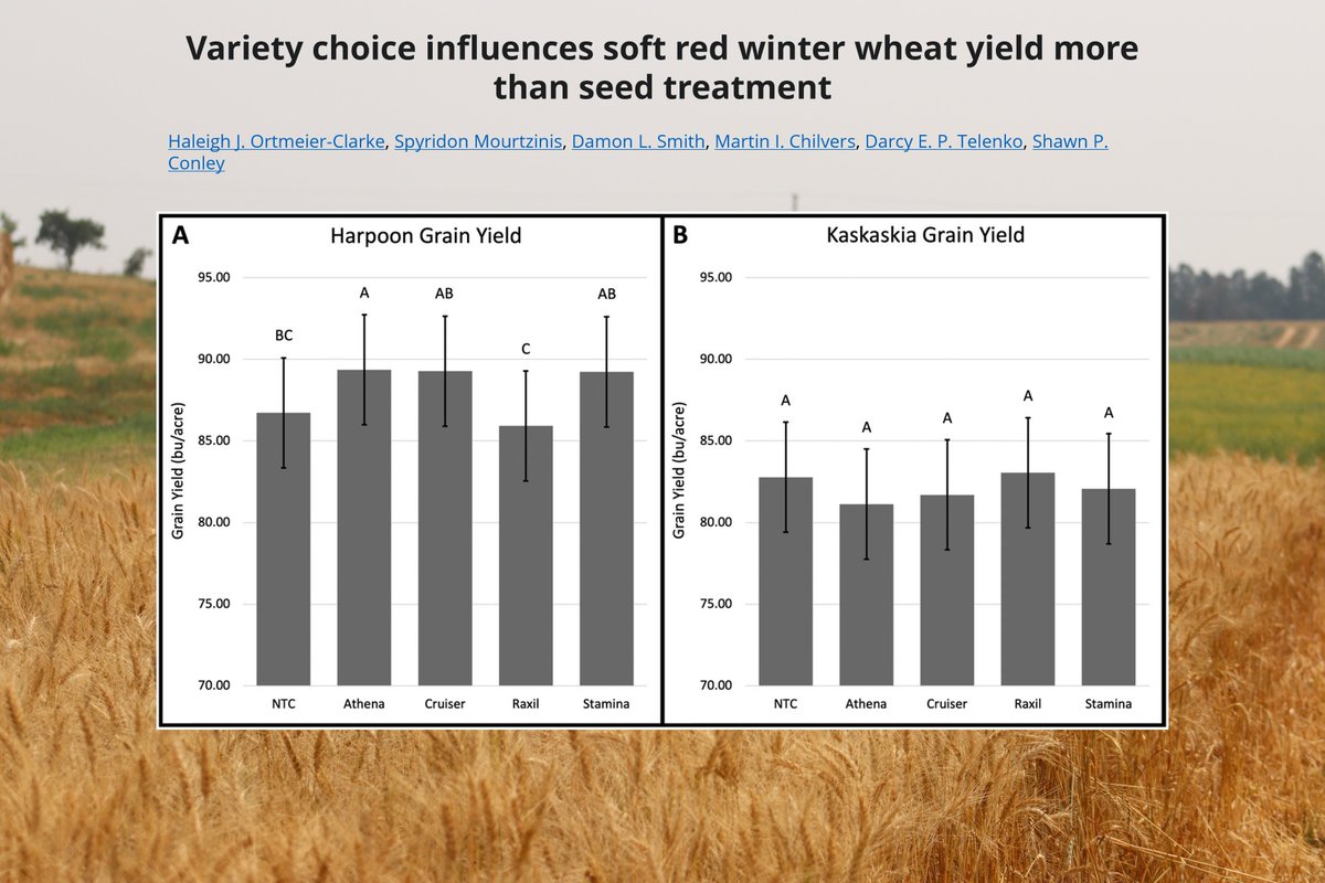 🌾 Wheat Yield: Variety vs. Seed Treatment 🌾
🔹A study across WI, IN, &amp; MI has shown that variety choice has a bigger impact on soft red winter wheat yield than seed treatments.
🔗 Read more: doi.org/10.1002/cft2.7…