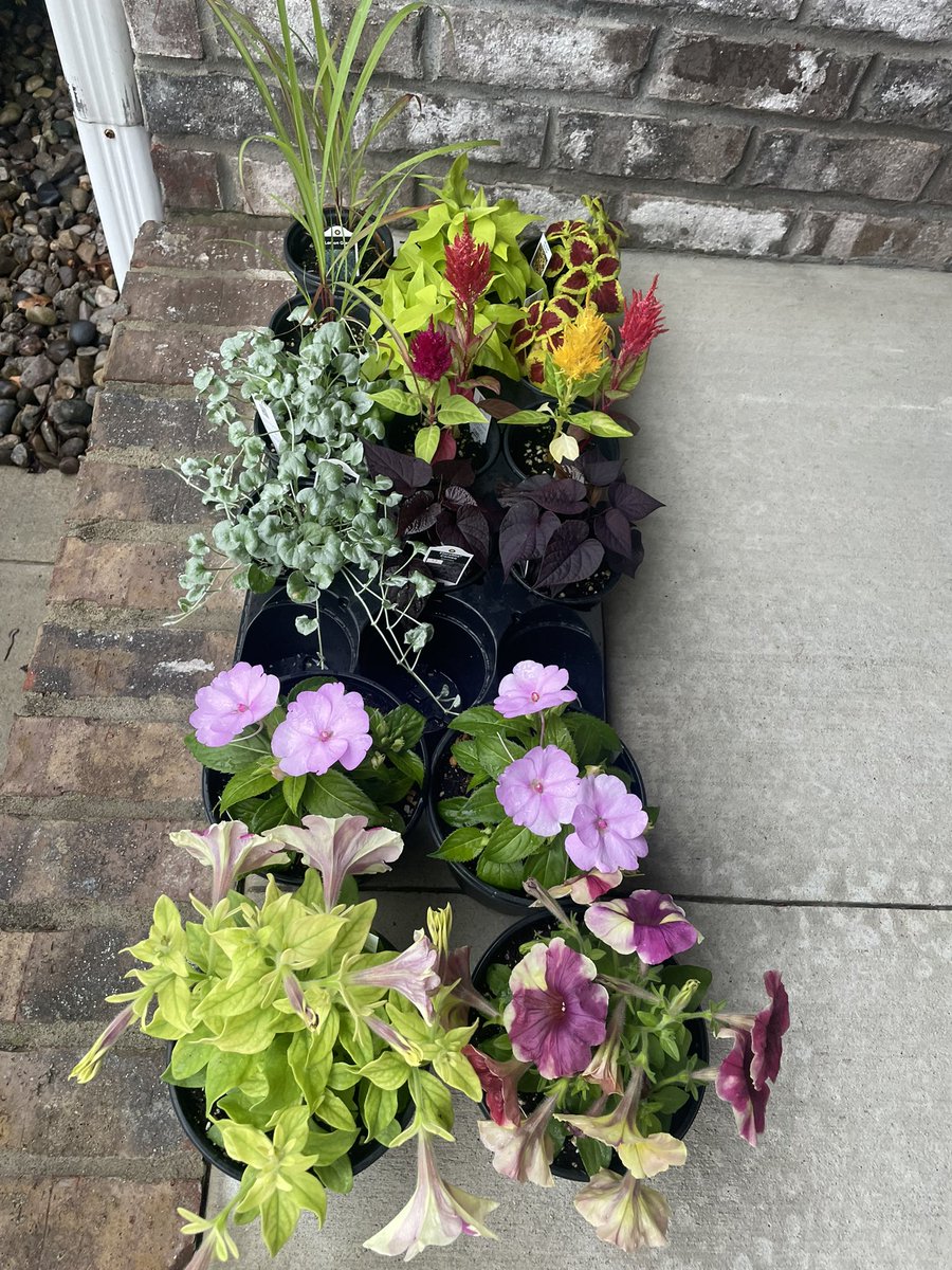 Buy some beautiful plants and support your local schools! Opening day, April 19!!!