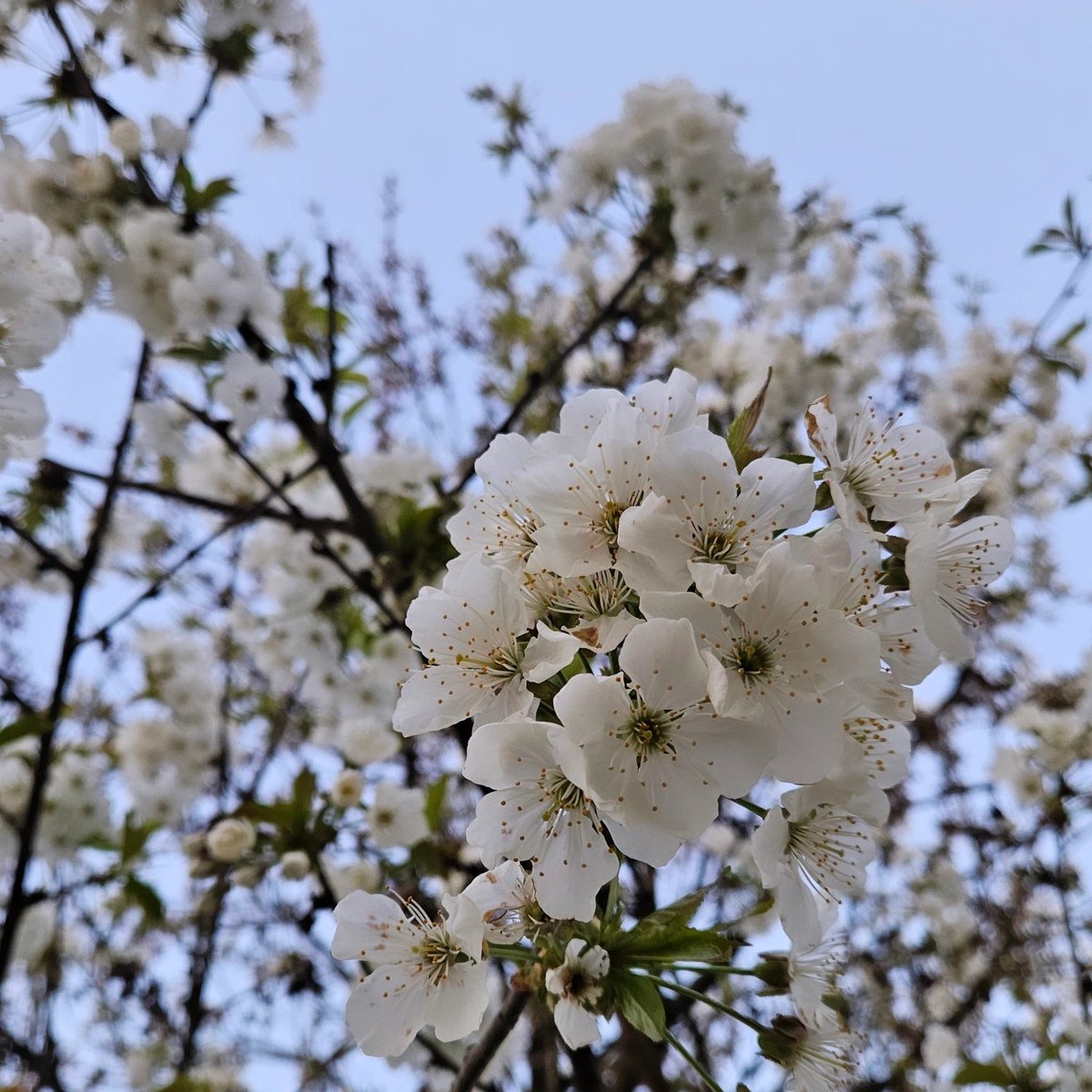 You're not just selling tea. You're offering calm, clarity &amp; care in every cup. Partner with Pampa Tea – where tradition meets premium wellness.
#PrivateLabel #HerbalTea #PampaTea