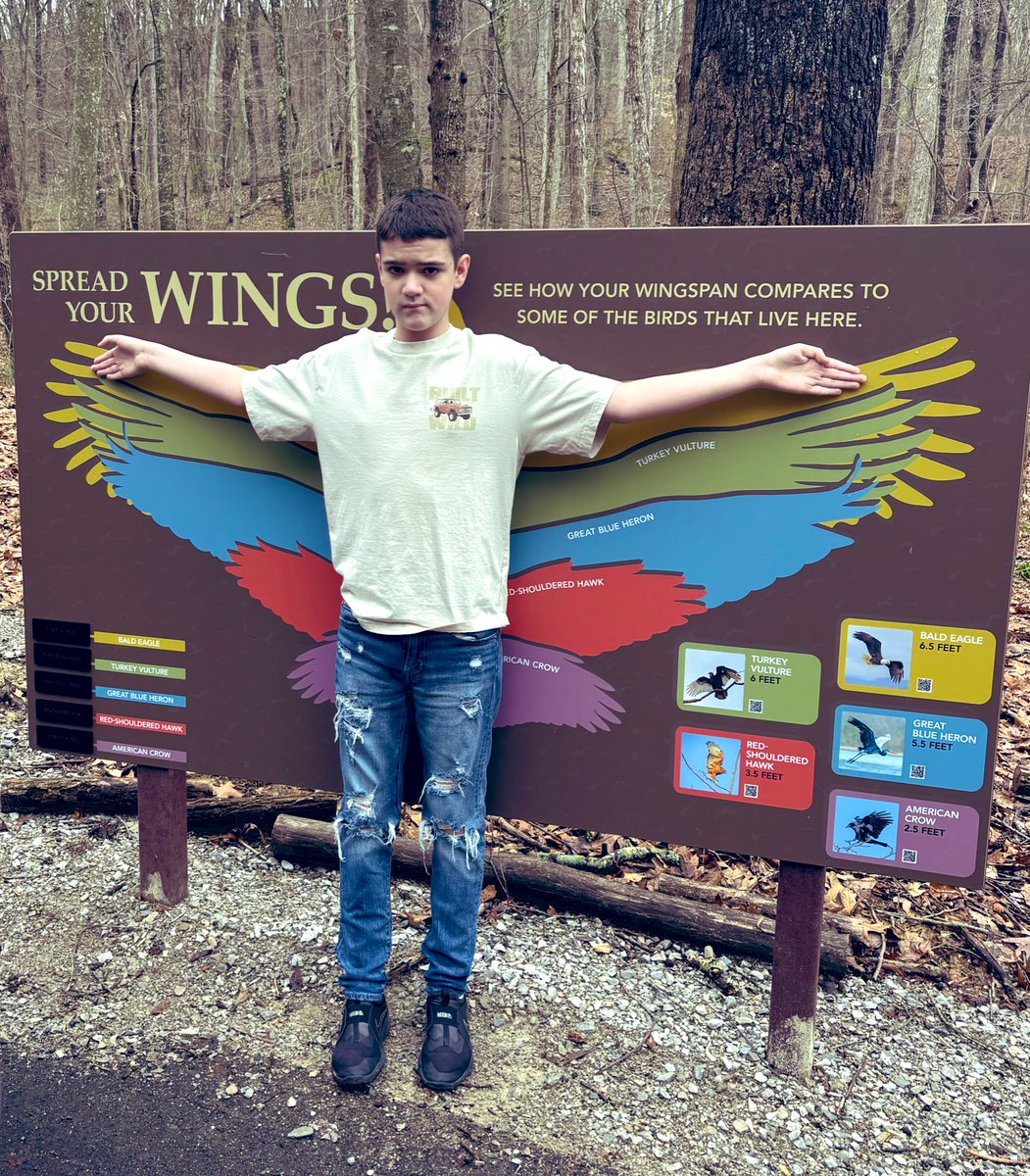 Senators with Abilities tweet media