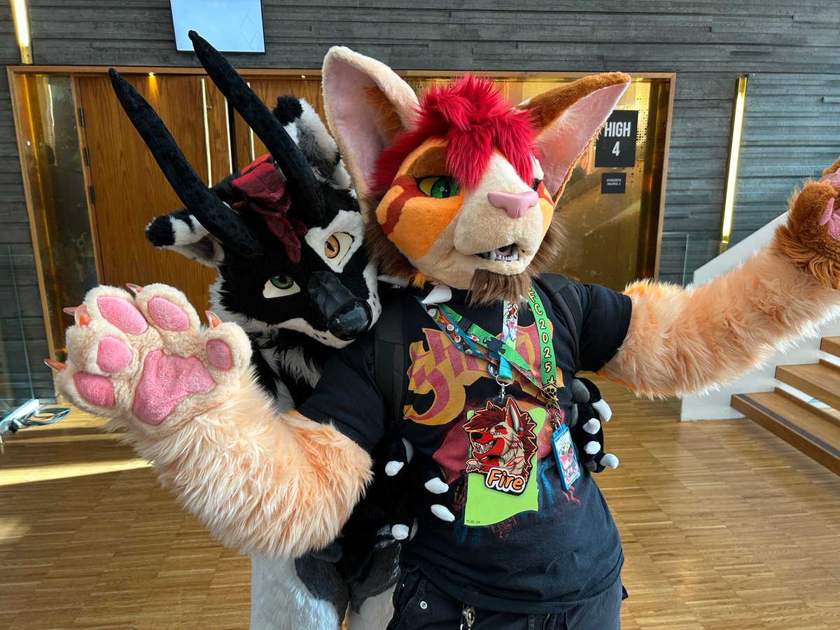 Behold the yeen who is a bean tweet media