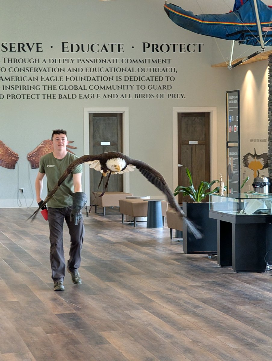 Tommy Milner tweet media