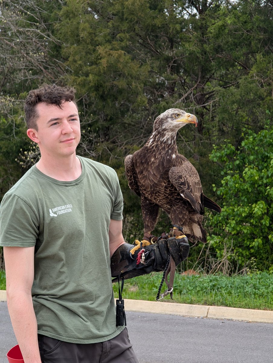 Tommy Milner tweet media