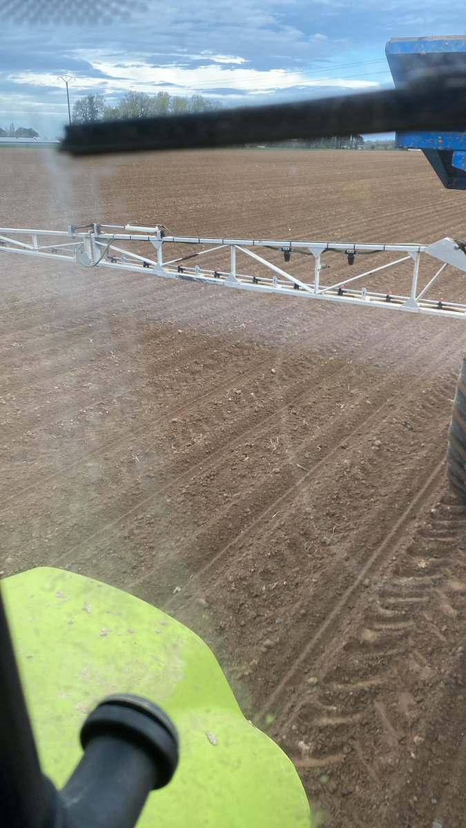 Désherbage maïs 🌽 ✅ 8 mm depuis 3j