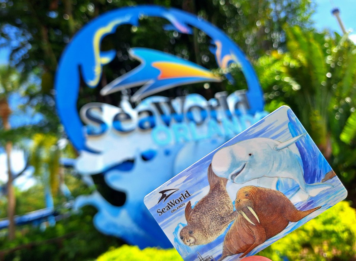 CanobieFan's tweet photo. It's been far too long. 🥲 @SeaWorld #PassHolder https://t.co/8VcSkG945c